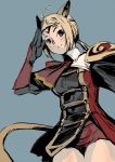  animal_ears bad_id blonde_hair branch_(artist) branch_(blackrabbits) final_fantasy final_fantasy_xi grey_eyes mithra red_mage salute solo tail 