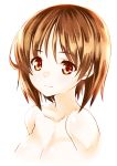  1girl bangs breasts brown_eyes brown_hair closed_mouth commentary_request girls_und_panzer light_smile looking_at_viewer medium_breasts nishizumi_miho nude portrait shiromitsu_suzaku short_hair simple_background solo white_background 