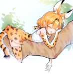  1girl animal_ears bare_shoulders blonde_hair bow bowtie cheek_squash closed_eyes from_side high-waist_skirt in_tree kemono_friends lying on_stomach peanutc serval_(kemono_friends) serval_ears serval_print serval_tail shirt sketch skirt sleeping sleeveless sleeveless_shirt solo striped_tail tail thigh-highs tree tree_branch triangle_mouth white_background white_shirt 