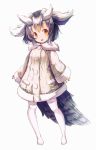 1girl full_body highres kemono_friends long_sleeves looking_to_the_side northern_white-faced_owl_(kemono_friends) orange_eyes short_hair simple_background solo sorairo_len standing tail white_background white_hair white_legwear 
