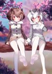  2girls black_hair blurry blush brown_hair cherry_blossoms closed_mouth coat day depth_of_field eurasian_eagle_owl_(kemono_friends) eyebrows_visible_through_hair feet frown fur_collar hair_between_eyes hand_holding head_tilt in_tree kemono_friends long_sleeves looking_at_viewer looking_away multicolored_hair multiple_girls no_shoes northern_white-faced_owl_(kemono_friends) outdoors pantyhose petals red_eyes rokuroku_(xd_p) sitting soles toes tree two-tone_hair white_hair white_legwear yuri 