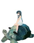  1girl black_hair dress expressionless hair_ornament hairclip houmitsu long_hair necktie original riding shoes short_dress sidelocks simple_background size_difference sleeveless sleeveless_dress socks solo tortoise turtle v_arms very_long_hair 