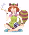  1girl ^_^ animal_ears bogyaku_no_m brown_hair closed_eyes futatsuiwa_mamizou glasses_on_head gourd indian_style kiseru leaf leaf_on_head open_mouth pipe raccoon_ears raccoon_tail sitting skirt smile smoke tail touhou 