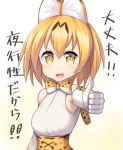  1girl kemono_friends looking_at_viewer nagase_haruhito serval_(kemono_friends) thumbs_up translation_request 