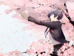  1boy blue_hair cherry_blossoms flower jacket mentaishi persona persona_3 smile solo tree yuuki_makoto 