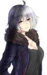  1girl ahoge breasts cleavage fate/grand_order fate_(series) fur_trim green_eyes hair_between_eyes highres jeanne_alter large_breasts looking_at_viewer parted_lips rakam_(artist) ruler_(fate/apocrypha) short_hair silver_hair sketch smile solo upper_body 