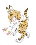  1girl :&gt; animal_ears animal_print ankle_boots arm_at_side bare_shoulders belt black_ribbon blush_stickers boots bow bowtie brown_belt clenched_hand closed_mouth cross-laced_clothes crossover dot_nose elbow_gloves full_body gloves hand_up high-waist_skirt highres kemono_friends komotodaemai kyubey light_brown_eyes looking_at_viewer mahou_shoujo_madoka_magica mouth_hold orange_hair paw_pose print_bow print_bowtie print_gloves print_legwear print_skirt ribbon serval_(kemono_friends) serval_ears serval_print serval_tail shirt shoe_ribbon short_hair simple_background sketch skirt sleeveless sleeveless_shirt striped_tail tail tareme thigh-highs walking white_background white_boots white_footwear white_shirt zettai_ryouiki 