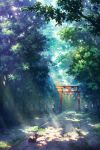  cat dappled_sunlight forest kami_(yoshipt0716) light_rays nature no_humans scenery statue stone_walkway summer sunlight torii tree 