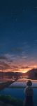  1girl backpack bag black_hair clouds facing_away field highres horizon looking_away original pochi_(poti1990) short_hair solo sunset telephone_pole 