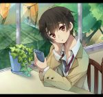  1boy :o aldnoah.zero arm_support bangs black_hair blush brown_jacket cellphone chair collarbone collared_shirt commentary_request container expressionless eyebrows_visible_through_hair flower_pot hand_on_own_cheek head_rest head_tilt holding holding_phone indoors kaizuka_inaho letterboxed long_sleeves looking_at_phone male_focus mecha necktie open_mouth phone plant potted_plant red_eyes red_necktie shirt sitting smartphone table tree usamata white_shirt window wing_collar 