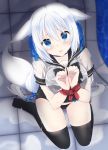  animal_ears black_legwear blue_bow blue_collar blue_eyes blue_ribbon blush bondage bound bound_wrists bow commentary_request fox_ears fox_girl fox_tail from_above hair_between_eyes hair_ribbon highres kneeling long_hair looking_at_viewer looking_up on_ground open_mouth original restrained ribbon school_uniform see-through setahikaru shirt sitting solo swimsuit swimsuit_under_clothes tail tears thigh-highs very_long_hair wariza water wet wet_clothes wet_shirt white_hair 