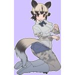  1girl african_wild_dog_(kemono_friends) african_wild_dog_ears african_wild_dog_tail animal_ears black_eyes boots bow bowtie denim denim_shorts fingernails grey_background kemono_friends long_sleeves pantyhose short_hair short_shorts shorts simple_background solo sueyuu tail 