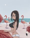  1girl beach bikini bird black_hair blue_eyes blush breasts flamingo from_side hair_between_eyes highres long_hair looking_at_viewer medium_breasts school_girl_strikers shiranui_hazuki smile solo swimsuit uni_(melm) 