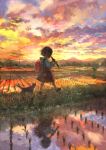  1girl backpack bag cat child clouds evening from_side full_body grass holding holding_instrument instrument long_sleeves music original outdoors playing_instrument pon_(cielo) randoseru recorder reflection rice_paddy scenery school_uniform shirt short_hair skirt sky sunset walking water white_shirt 
