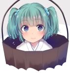  1girl asa_(coco) bangs blue_eyes blush bucket closed_mouth green_hair hair_bobbles hair_ornament in_bucket in_container japanese_clothes kimono kisume looking_at_viewer smile solo touhou twintails upper_body 