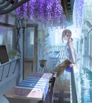  1girl aspara black_eyes blush brown_hair chair eyebrows_visible_through_hair flower highres looking_at_viewer original plant potted_plant railing short_hair sitting smile solo table tablecloth window wisteria 