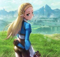  ass blonde_hair braid eyebrows grass green_eyes hair_ornament hairclip hashi light_smile long long_hair looking_at_viewer looking_back pants pointy_ears princess_zelda the_legend_of_zelda the_legend_of_zelda:_breath_of_the_wild 