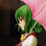  green_hair kazami_yuuka monmon parasol portrait profile rain red_eyes short_hair touhou umbrella vest 