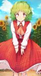  1girl ascot bangs blue_sky blush clouds collared_shirt cross_eyed day eyebrows_visible_through_hair flan_(harry_mackenzie) flower frilled_skirt frills garden_of_the_sun green_hair highres kazami_yuuka long_skirt long_sleeves looking_at_viewer mountain open_clothes open_vest outdoors plaid plaid_skirt plaid_vest red_eyes red_skirt red_vest reflective_eyes shiny shiny_hair shirt short_hair skirt skirt_set sky smile solo sunflower touhou vest wavy_hair white_legwear white_shirt younger 