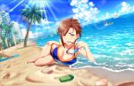  1girl artist_request beach bikini breasts brown_hair cleavage day earrings green_eyes hermit_crab idolmaster idolmaster_cinderella_girls idolmaster_cinderella_girls_starlight_stage jewelry kiba_manami large_breasts official_art outdoors short_hair swimsuit water 