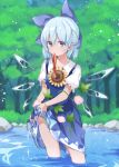  1girl akagashi_hagane blue_dress blue_eyes blue_hair bow cirno day dress flower hair_between_eyes hair_bow ice ice_wings looking_at_viewer morning_glory mouth_hold nature outdoors puffy_short_sleeves puffy_sleeves red_ribbon ribbon short_hair short_sleeves solo sunflower touhou wading water wet wet_clothes wings wringing_clothes 