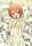  blush flower green_eyes hoshizora_rin love_live!_school_idol_project orange_hair short_hair smile 