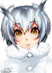  1girl :&lt; artist_signature blush dated eyebrows_visible_through_hair fur_collar happa_(cloverppd) kemono_friends lips looking_at_viewer northern_white-faced_owl_(kemono_friends) portrait short_hair silver_hair solo white_background yellow_eyes 