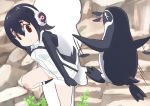  bird black_hair commentary_request grape-kun headphones humboldt_penguin_(kemono_friends) kemono_friends moroheiya_(user_harz4842) multicolored_hair penguin penguins_performance_project_(kemono_friends) short_hair 