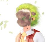  1girl ascot bright_background collared_shirt covered_face dirt dirty_face dl4544 floating_hair flower green_hair kazami_yuuka leaf plaid plaid_vest shirt short_hair solo touhou upper_body vest wind wing_collar 