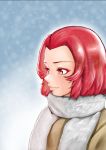  1girl forehead from_side girls_und_panzer grey_scarf highres hiraya_n light_smile pink_eyes pink_hair rosehip scarf short_hair smile solo upper_body winter winter_clothes 