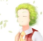  1girl ascot bright_background closed_eyes closed_mouth commentary_request dl4544 floating_hair green_hair kazami_yuuka leaf light_smile plaid plaid_vest short_hair solo touhou upper_body vest wind 