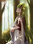  androgynous artist_name bangs blood closed_mouth crying crying_with_eyes_open dated enkidu_(fate/strange_fake) fate/strange_fake fate_(series) forest from_side green_hair hair_between_eyes injury long_hair nature orii_(orii_i) outdoors parted_lips signature solo tears very_long_hair 
