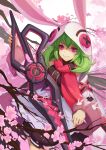  1girl blush eyebrows_visible_through_hair forever_7th_capital green_hair highres holding holding_sword holding_weapon hood long_sleeves looking_at_viewer petals pink_eyes short_hair smile solo sword weapon youxuemingdie 