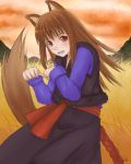  brown_eyes brown_hair holo open_mouth signature spice_and_wolf tail wolf_ears wolf_tail yukihiro 