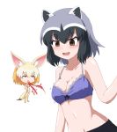  2girls animal_ears black_hair blonde_hair blood blush bra breasts brown_eyes cleavage common_raccoon_(kemono_friends) fennec_(kemono_friends) fox_ears fox_tail hayashiya_zankurou highres kemono_friends long_hair medium_breasts multicolored_hair multiple_girls nosebleed panties raccoon_ears short_hair skirt smile tail thigh-highs underwear 