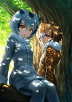  2girls brown_hair coat commentary dappled_sunlight day eurasian_eagle_owl_(kemono_friends) eyes_visible_through_hair fur_collar grey_hair hair_between_eyes head_wings highres in_tree kemono_friends long_sleeves looking_at_viewer multicolored_hair multiple_girls northern_white-faced_owl_(kemono_friends) open_mouth orange_eyes outdoors pantyhose plant short_hair sion_(sion9117ys) sitting sitting_in_tree sunlight tree 