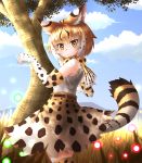  1girl absurdres animal_ears bare_shoulders blush character_request day elbow_gloves eyebrows_visible_through_hair gloves highres kakutasu_(akihiron_cactus) kemono_friends looking_at_viewer multicolored_hair orange_hair orange_legwear orange_skirt outdoors short_hair skirt solo tail thigh-highs tree two-tone_hair white_gloves white_hair 