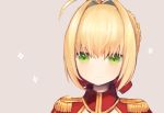  1girl ahoge bangs beige_background blush braid closed_mouth fate/extra fate_(series) french_braid hair_intakes hair_ribbon looking_at_viewer munuko portrait red_ribbon ribbon saber_extra sidelocks simple_background solo sparkle upper_body 