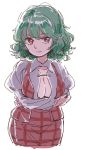  1girl breasts cleavage commentary commentary_request green_hair kazami_yuuka large_breasts looking_at_viewer mitsumoto_jouji red_eyes solo touhou 