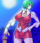  1girl ascot breasts danna_(karatekikku) green_hair kazami_yuuka large_breasts miniskirt parasol plaid plaid_vest red_eyes short_hair skirt touhou umbrella vest 