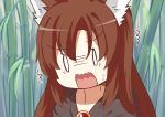  0_0 1girl animal_ears bamboo bamboo_forest brown_hair forest imaizumi_kagerou japa long_hair nature solo touhou wolf_ears 