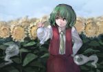 1girl blurry cowboy_shot day depth_of_field faux_traditional_media field flower flower_field frown green_hair hand_on_hip hitodama holding ichiba_youichi kazami_yuuka looking_to_the_side necktie red_eyes short_hair sketch sky solo sunflower touhou vest 