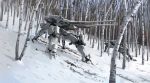  absurdres birch_trees highres karamas mecha original outdoors snow walker walker_machine 