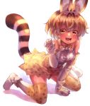  absurdres animal_ears blush bow bowtie denchu_(kazudentyu) elbow_gloves eyebrows_visible_through_hair gloves highres kemono_friends looking_at_viewer open_mouth orange_bow orange_bowtie orange_eyes orange_hair orange_legwear serval_(kemono_friends) serval_ears serval_tail short_hair smile tail teeth thigh-highs white_gloves 