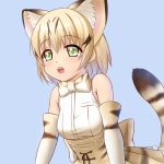  1girl animal_ears animal_print bare_shoulders blonde_hair blue_background bow bowtie cat_ears cat_tail elbow_gloves eyes_visible_through_hair fang gloves green_eyes high-waist_skirt highres kemono_friends open_mouth print_gloves print_skirt sand_cat_(kemono_friends) shirt short_hair simple_background sion_(sion9117ys) skirt sleeveless sleeveless_shirt solo striped_tail tail upper_body 