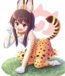  1girl all_fours animal_ears bare_shoulders blush bow bowtie brown_hair clenched_hand cosplay eyebrows_visible_through_hair full_body grass head_tilt high-waist_skirt japari_symbol kemono_friends kono_subarashii_sekai_ni_shukufuku_wo! looking_at_viewer megumin on_ground open_mouth paw_pose red_eyes ririumu serval_(kemono_friends) serval_(kemono_friends)_(cosplay) serval_ears serval_print serval_tail shirt shoes short_hair_with_long_locks skirt sleeveless sleeveless_shirt solo striped_tail tail tears wavy_mouth white_background white_shirt white_shoes 