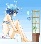  10s 1girl asymmetrical_hair azumaya_(miyui001) barefoot blue_background blue_eyes blue_flower blue_hair bra flower flower_pot flower_request from_side highres kantai_collection knees_up leg_hug looking_away messy_hair minazuki_(kantai_collection) morning_glory panties plant profile sad sandals sandals_removed sitting solo strap_slip striped striped_bra striped_panties trellis underwear underwear_only wavy_mouth 