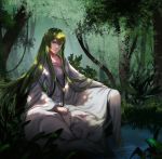  androgynous animal blue_eyes day enkidu_(fate/strange_fake) fate/strange_fake fate_(series) forest green_hair highres long_hair looking_at_viewer nature outdoors plant riyu_(gauzama) smile soaking_feet solo tree very_long_hair water wolf 