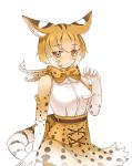  1girl animal_ears bare_shoulders blonde_hair bow bowtie claw_pose cowboy_shot elbow_gloves expressionless extra_serval_(kemono_friends) eyebrows_visible_through_hair gloves high-waist_skirt kemono_friends looking_at_viewer print_bowtie print_gloves print_skirt qtsuki serval_ears serval_print serval_tail shirt short_hair simple_background skirt sleeveless sleeveless_shirt solo striped_tail tail white_background white_shirt yellow_eyes 
