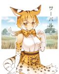  1girl animal_ears bare_shoulders blonde_hair bow bowtie character_name claw_pose commentary cowboy_shot elbow_gloves expressionless extra_serval_(kemono_friends) eyebrows_visible_through_hair gloves grass high-waist_skirt kemono_friends looking_at_viewer outline print_bowtie print_gloves print_skirt qtsuki savannah serval_ears serval_print serval_tail shirt short_hair skirt sleeveless sleeveless_shirt solo striped_tail tail tree white_outline white_shirt yellow_eyes 